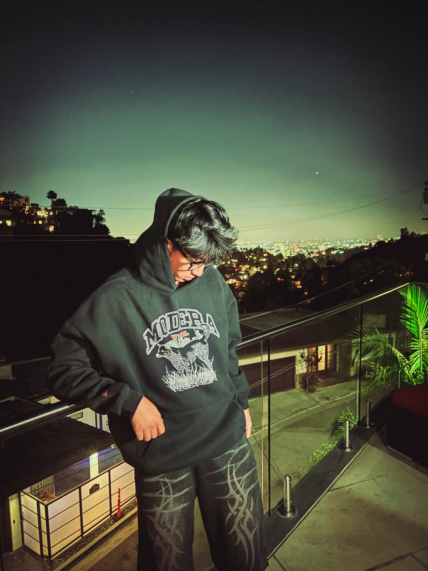 "Jindo NYC" 진도 V1 hoodie