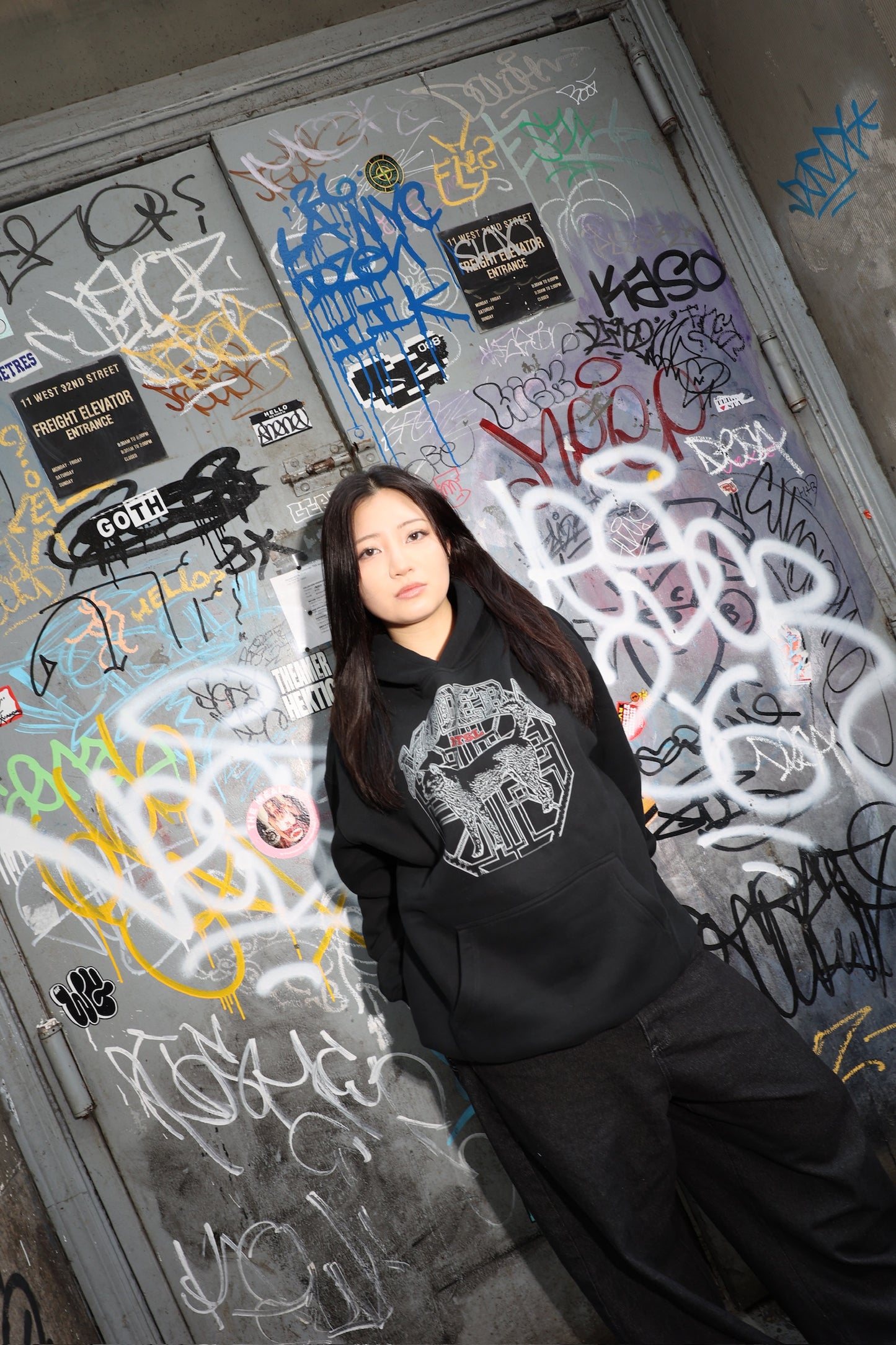 "Jindo Dancheong" 단청 V2 hoodie